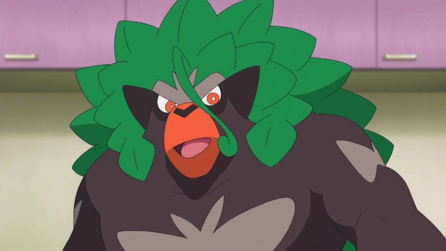 Rillaboom in the Pokemon Journeys anime