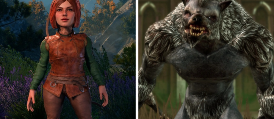 baldur's gate 3 werewolf