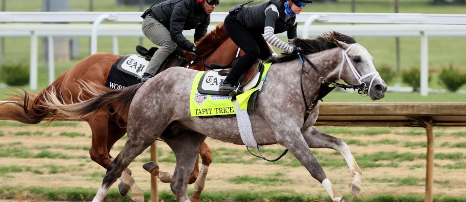 horse racing