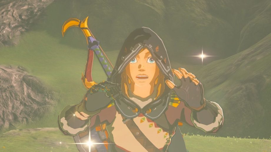 surprised link legend of zelda tears of the kingdom