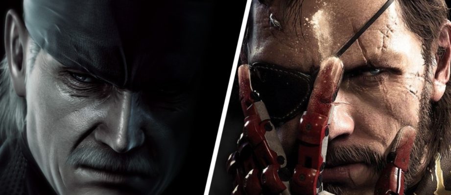 old snake and venom snake