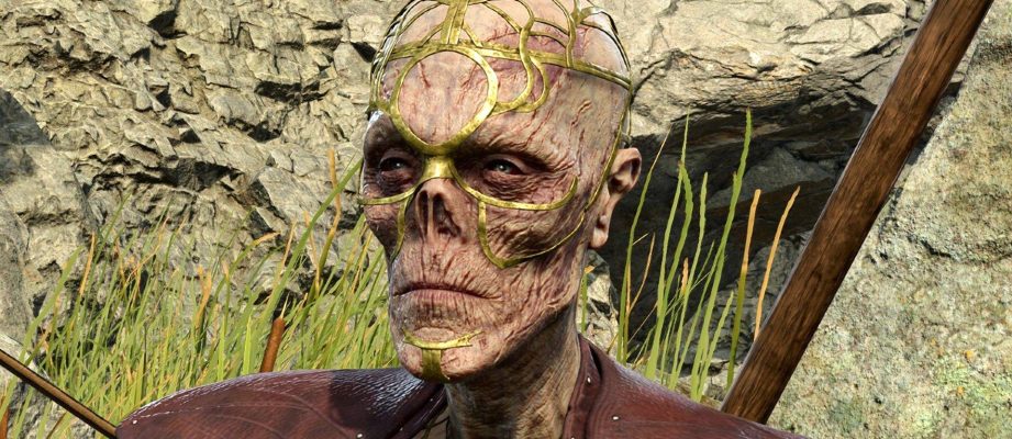 baldur's gate 3 hireling