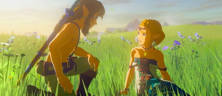 link and zelda in tears of the kingdom