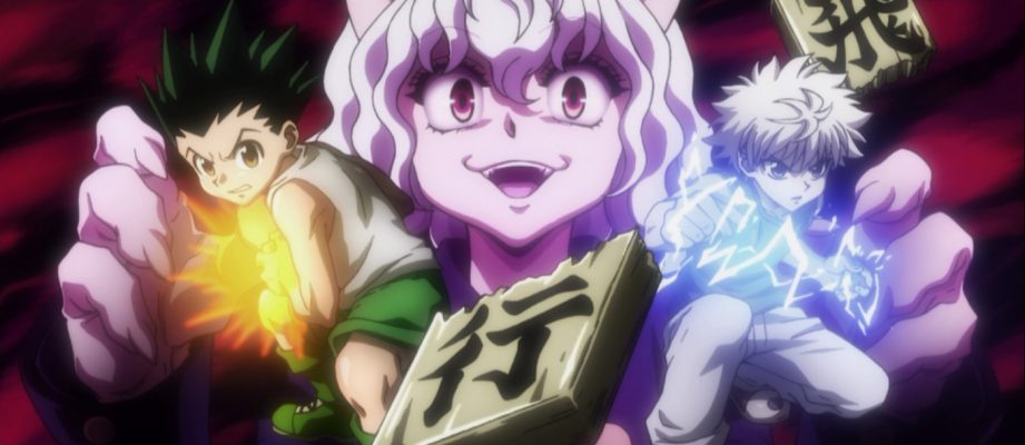 hunter x hunter fighting game