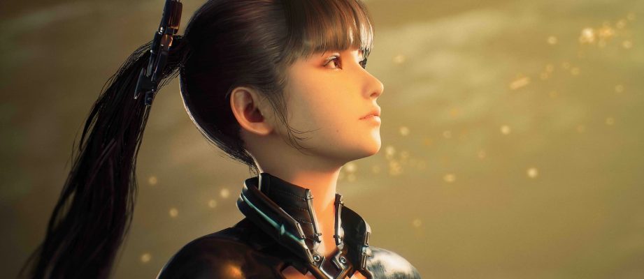 stellar blade character