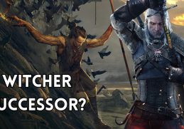 the witcher successor