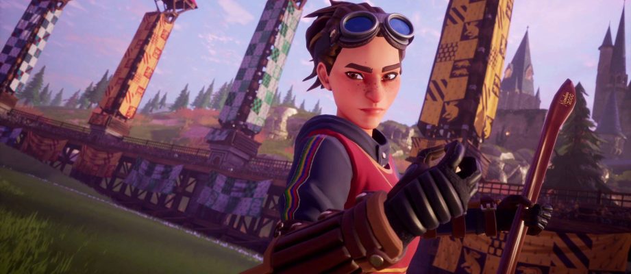 Quidditch Champions character