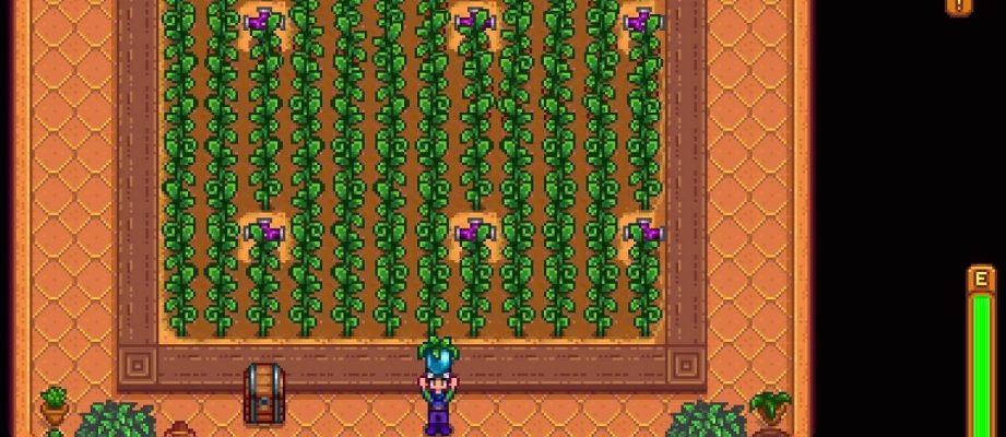 stardew valley ancient fruit