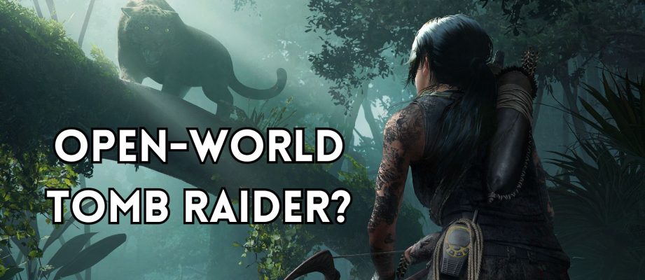 Lara Croft facing off against a jungle cat