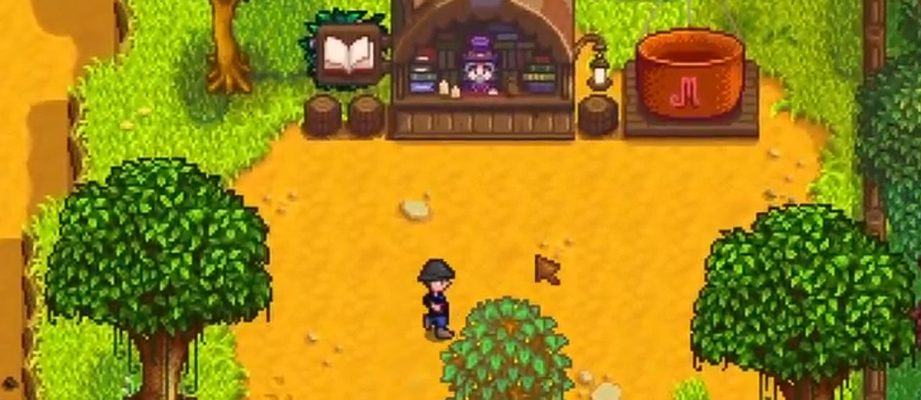 stardew valley book seller