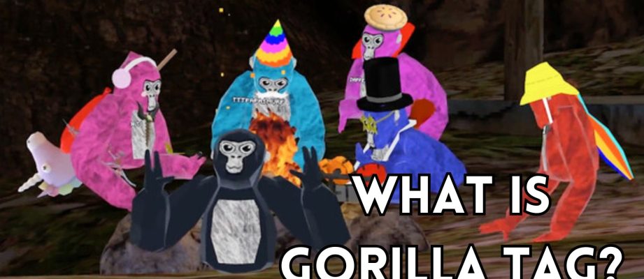 Gorilla TAG IN-GAME SCREENSHOT