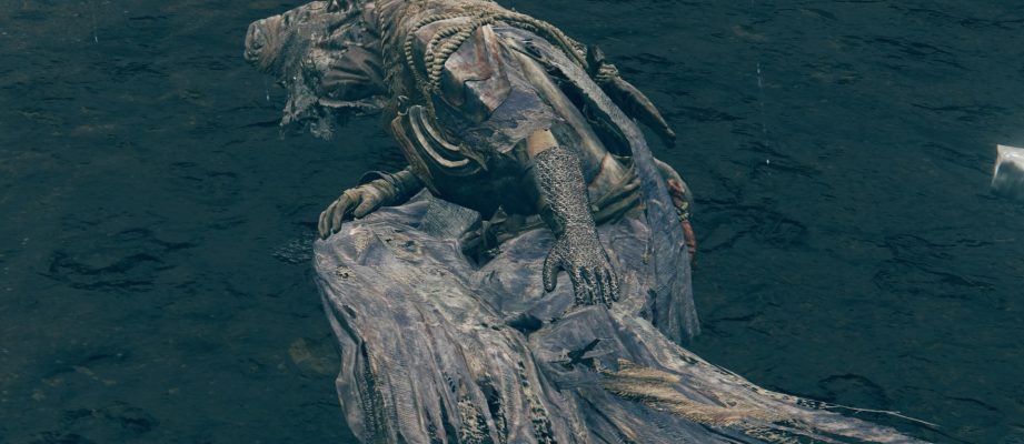 elden ring shadow of the erdtree igon