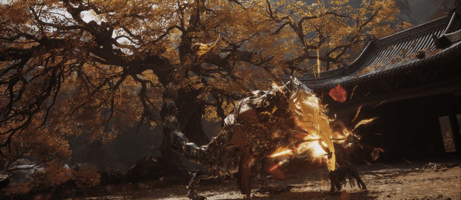Fighting enemies in Black Myth Wukong
