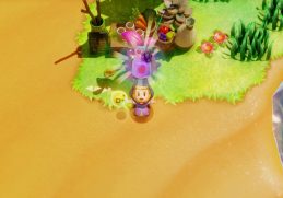 zelda echoes of wisdom smoothie