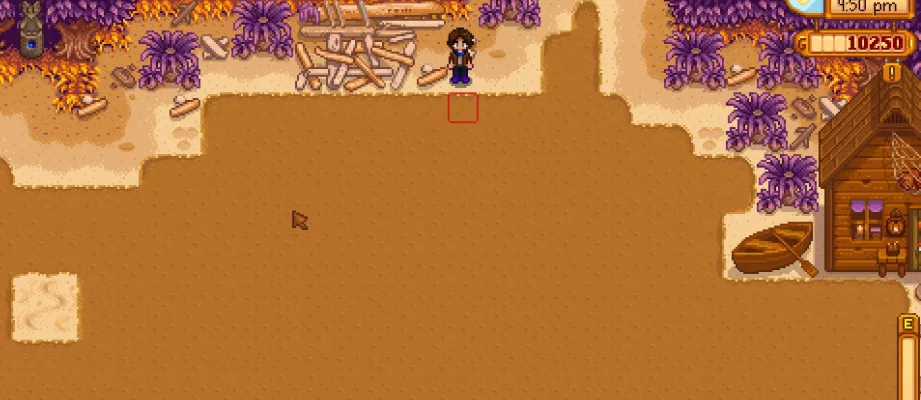 stardew valley beach