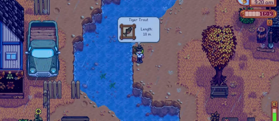 tiger trout stardew valley