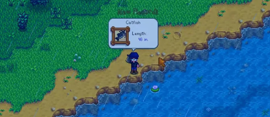 stardew valley catfish