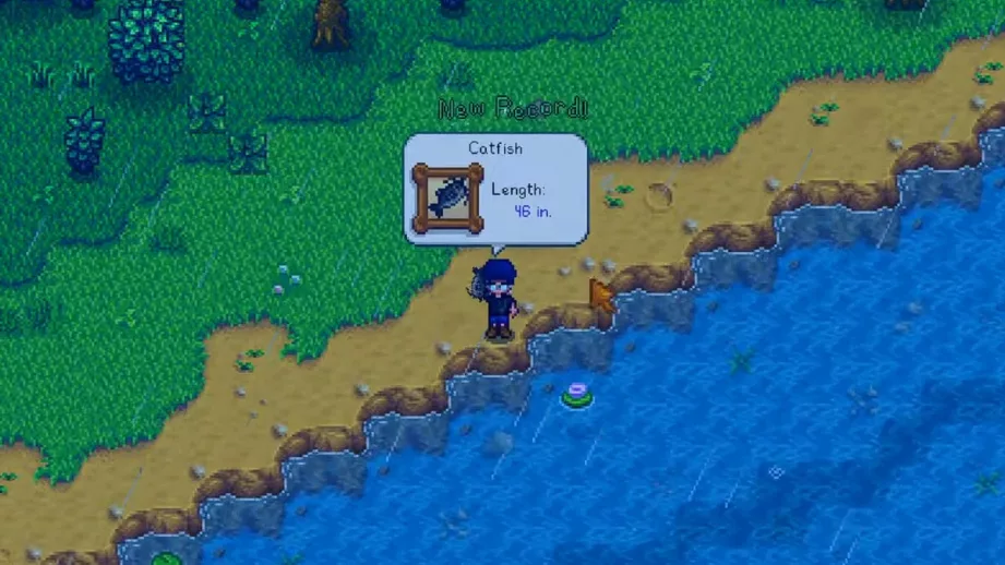 stardew valley catfish