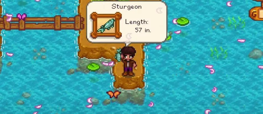 stardew valley sturgeon