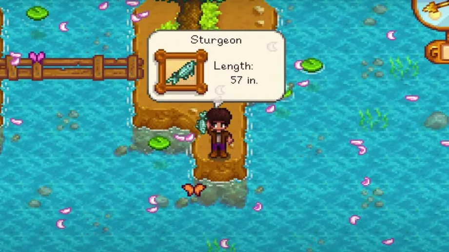 stardew valley sturgeon