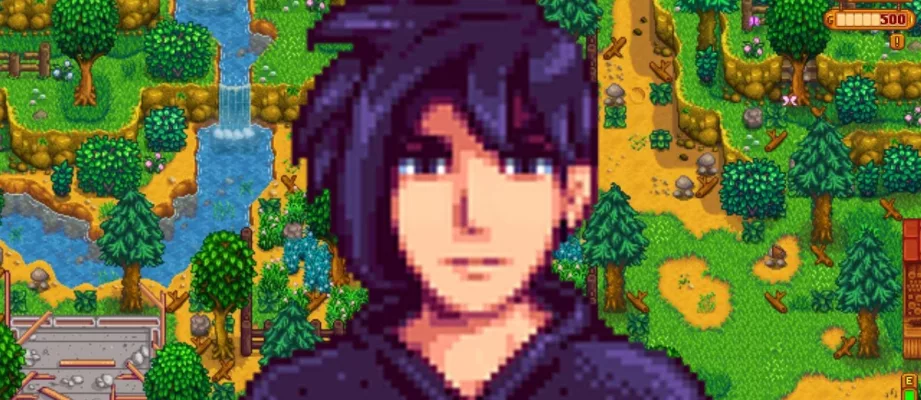 Stardew Valley Sebastian