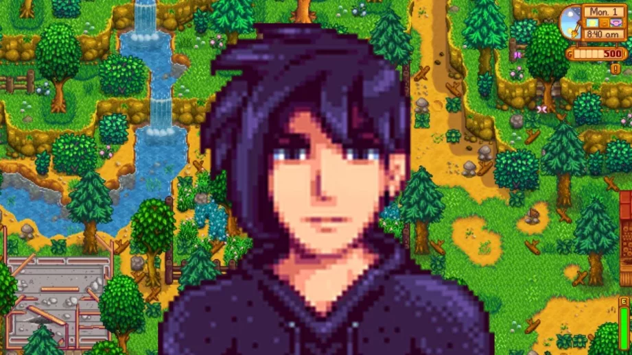 Stardew Valley Sebastian