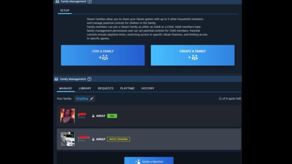 Steam Library 1